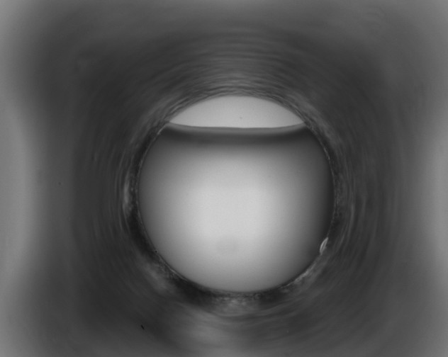X0000086730074200704130754