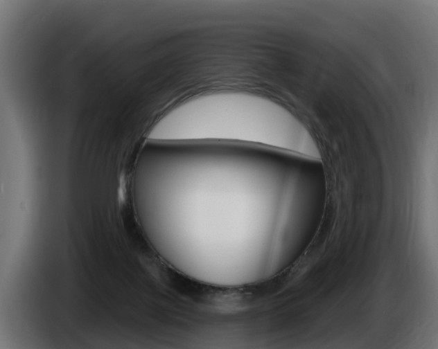 X0000086730075200704130754