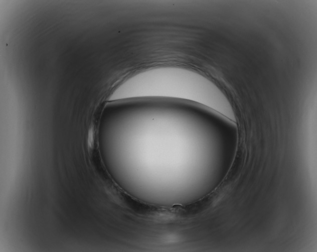 X0000086730076200704130754