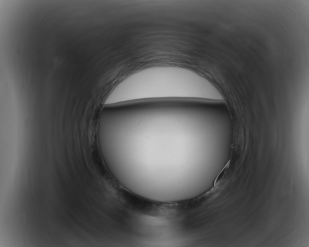X0000086730078200704130754