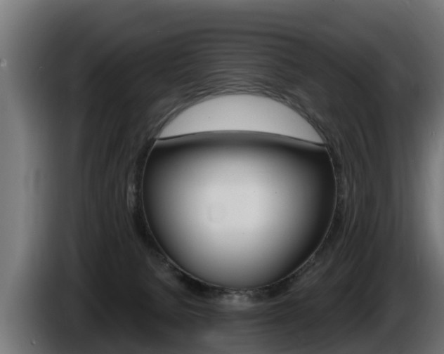 X0000086730080200704130754