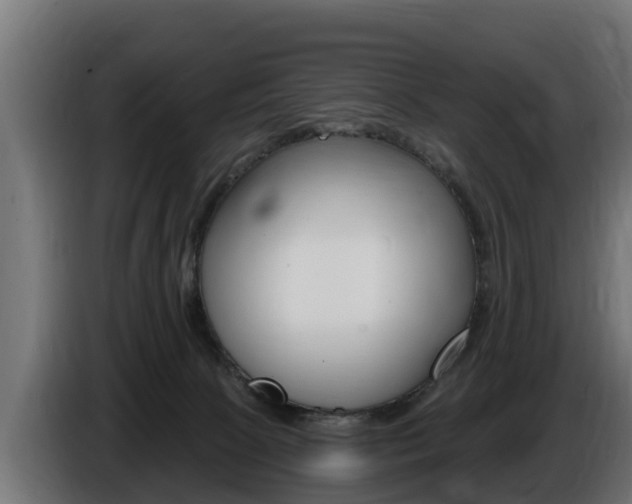 X0000086730081200704130754