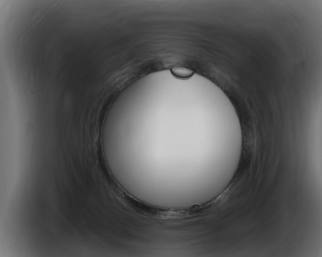 X0000086730082200704130754