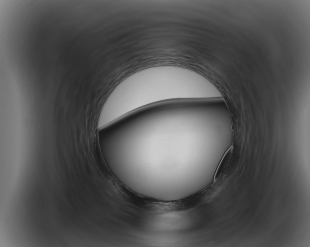 X0000086730085200704130754