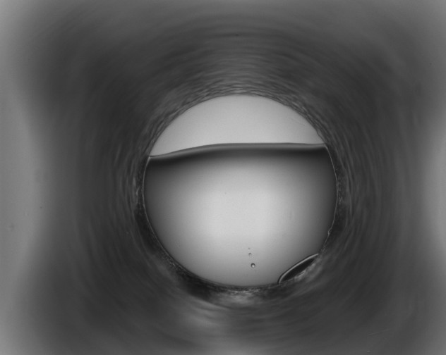 X0000086730086200704130754