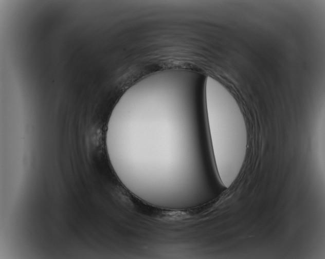 X0000086730087200704130754