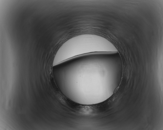 X0000086730091200704130754