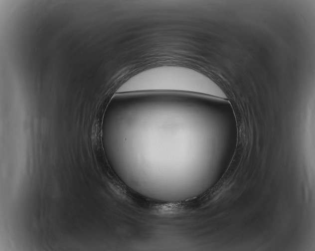 X0000086730092200704130754