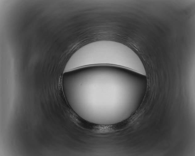 X0000086730093200704130754