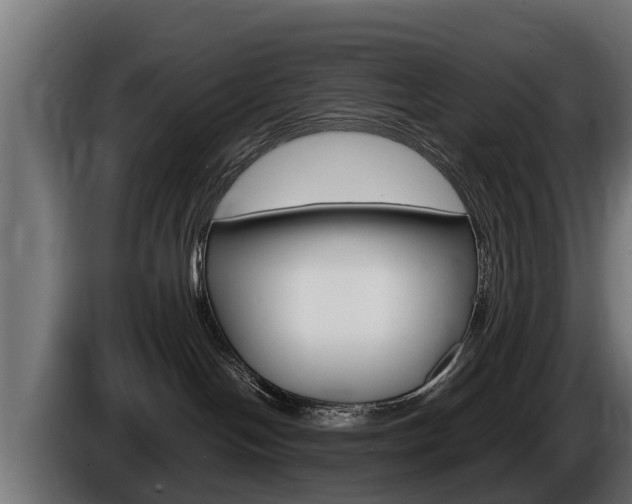 X0000086730094200704130754