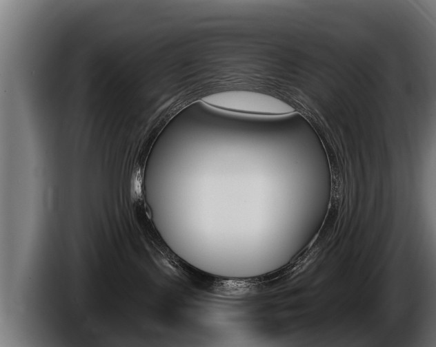 X0000086730095200704130754