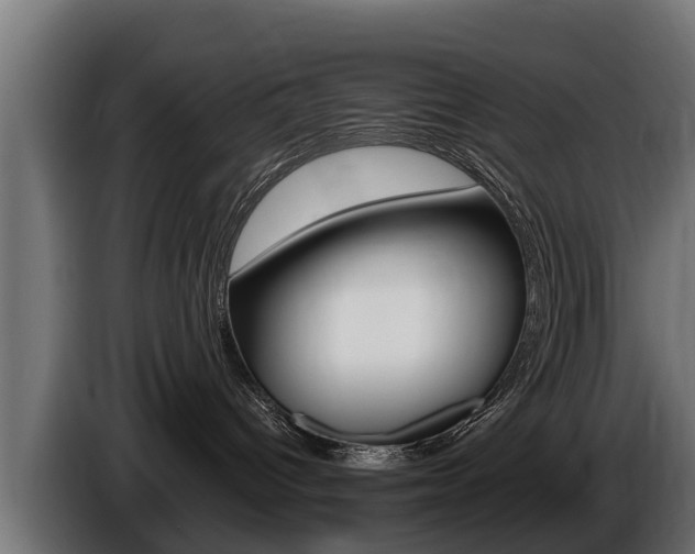 X0000086730096200704130754