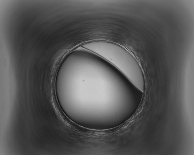 X0000086730097200704130754