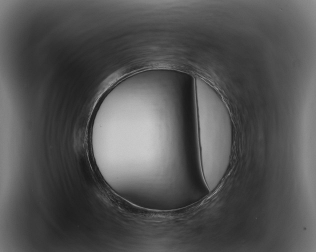 X0000086730099200704130754