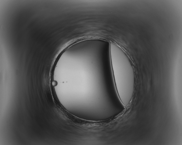 X0000086730100200704130754