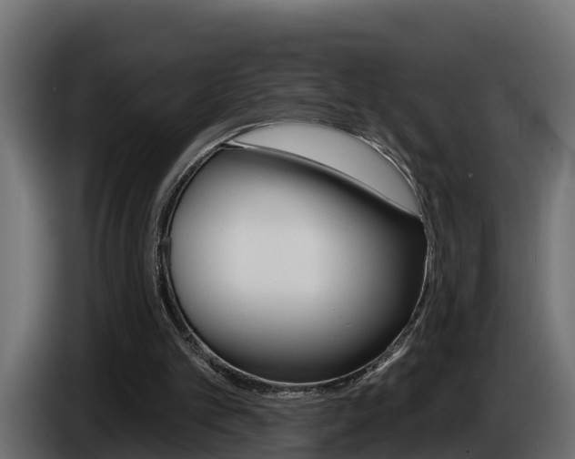 X0000086730101200704130754