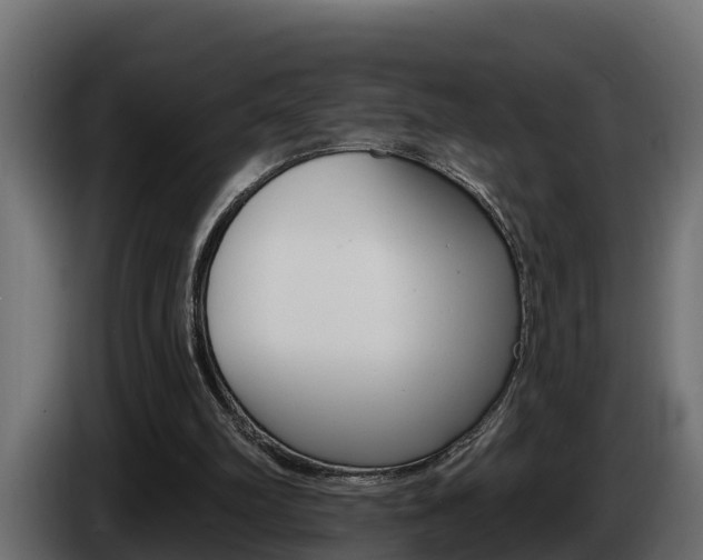 X0000086730102200704130754