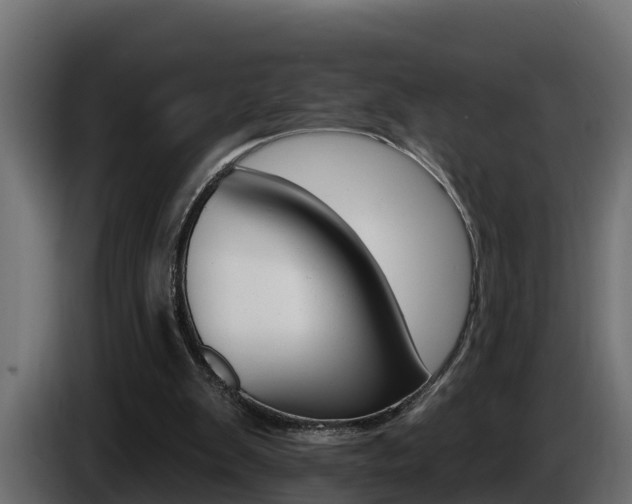 X0000086730103200704130754