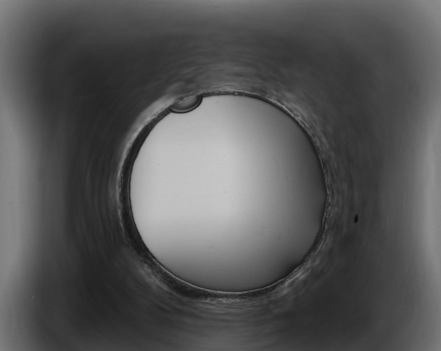 X0000086730104200704130754