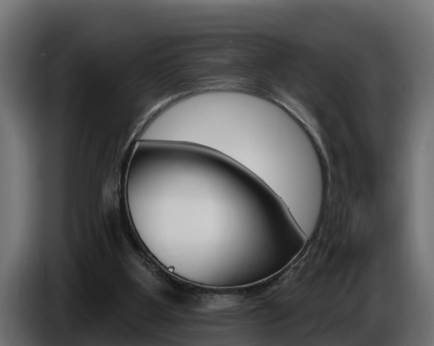 X0000086730107200704130754