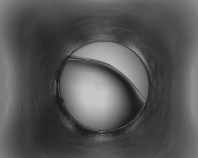 X0000086730109200704130754