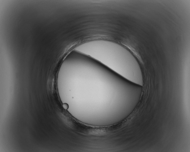 X0000086730110200704130754