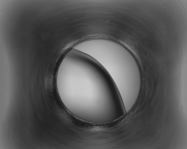 X0000086730111200704130754