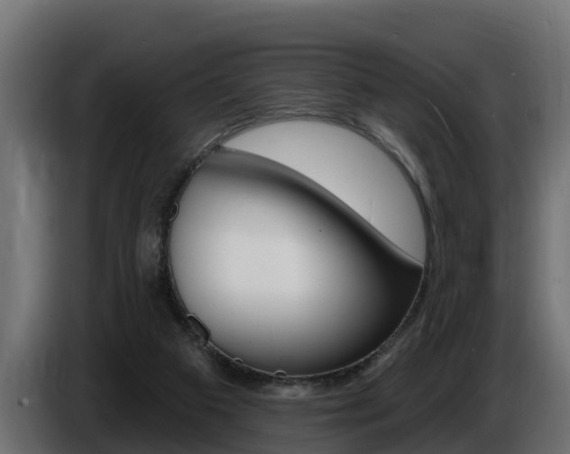 X0000086730113200704130754