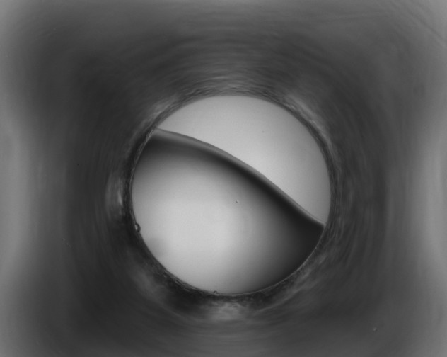 X0000086730115200704130754