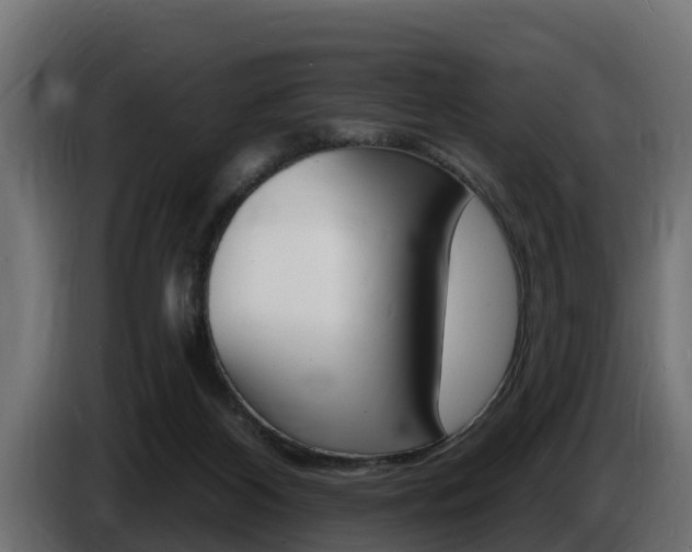X0000086730116200704130753