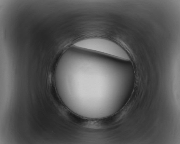 X0000086730117200704130753
