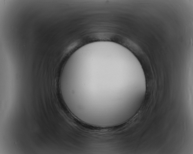X0000086730120200704130753