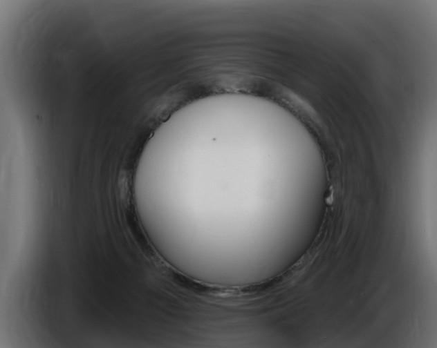 X0000086730121200704130753