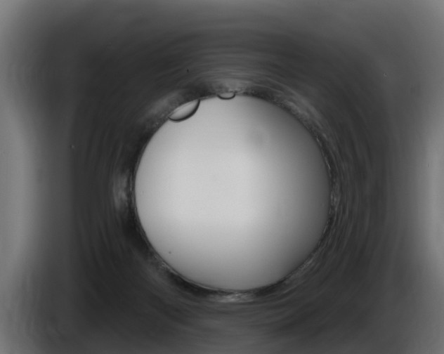 X0000086730122200704130753
