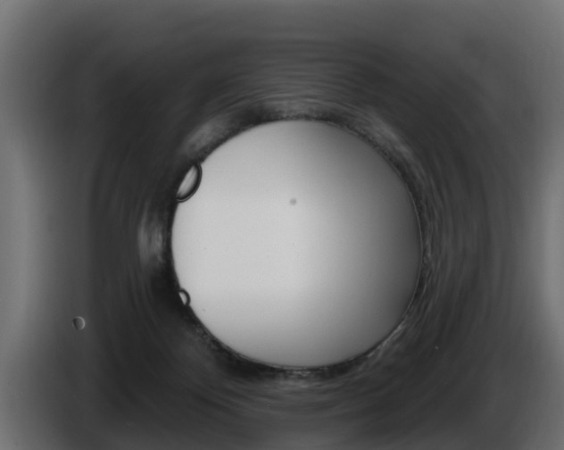 X0000086730124200704130753