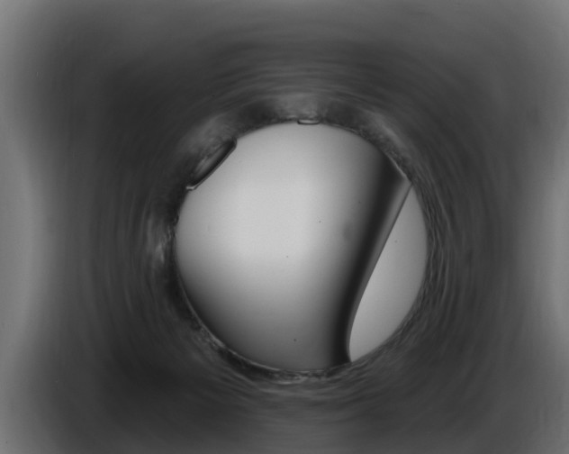 X0000086730125200704130753