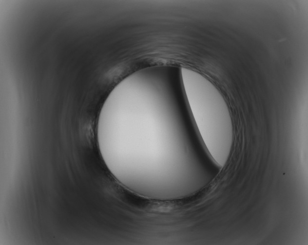 X0000086730127200704130753