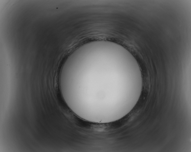 X0000086730131200704130753