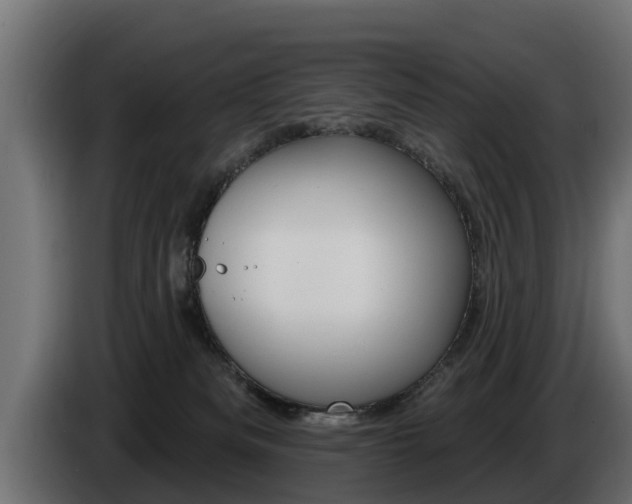 X0000086730133200704130753