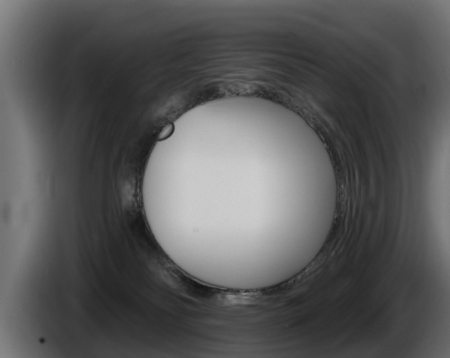 X0000086730134200704130753