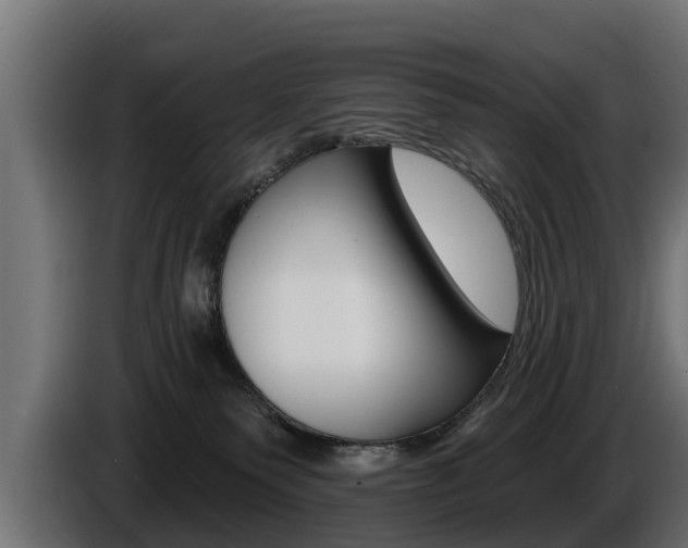 X0000086730135200704130753