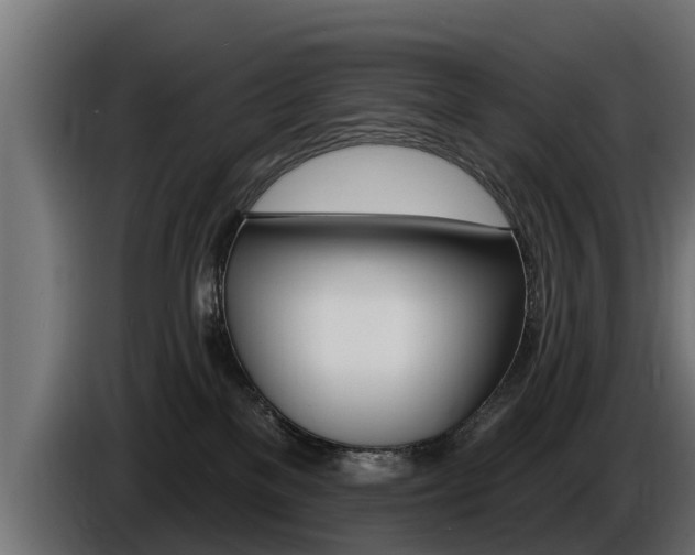 X0000086730137200704130753
