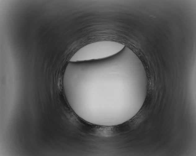 X0000086730138200704130753