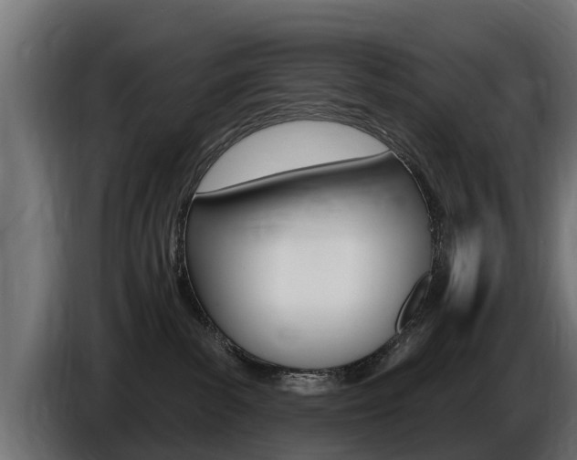 X0000086730139200704130753