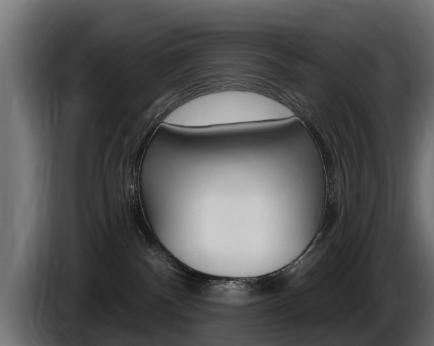 X0000086730140200704130753