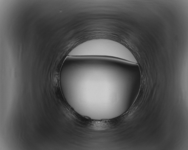 X0000086730141200704130753