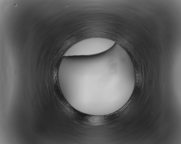 X0000086730142200704130753