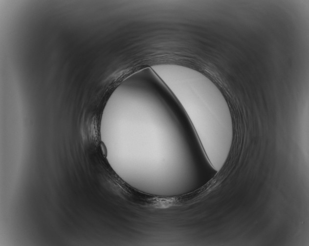 X0000086730143200704130753