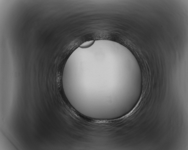 X0000086730144200704130753
