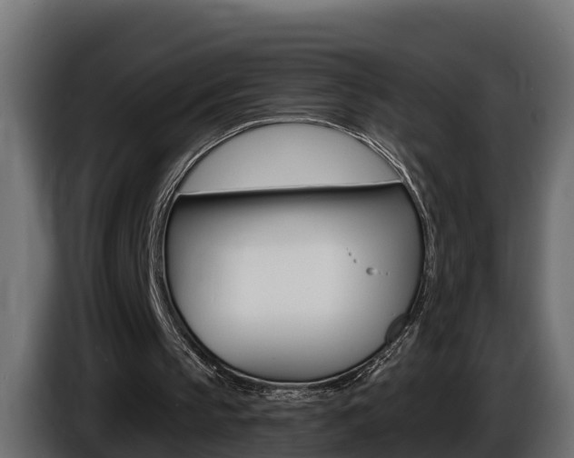X0000086730145200704130752